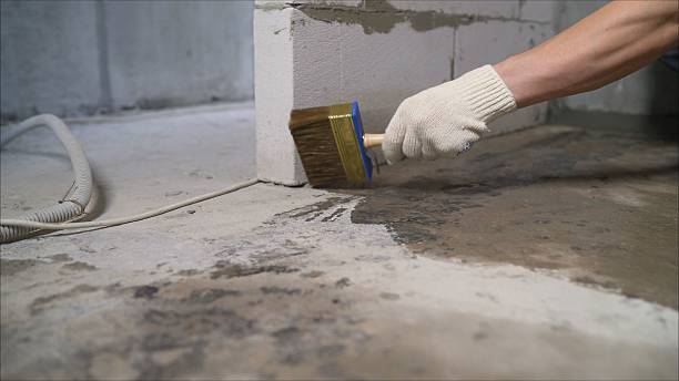 SJ Waterproofing Pros Basement Waterproofing coverage map for Elrod, AL and surrounding area